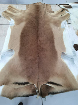 Picture of Game Impala Skins