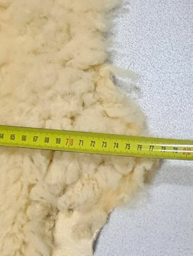 Picture of Sheep Skin Medical Grade Merino