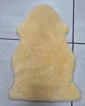 Picture of Sheep Skin Wool-on Medical Gr