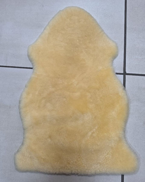 Picture of Sheep Skin Wool-on Medical Gr